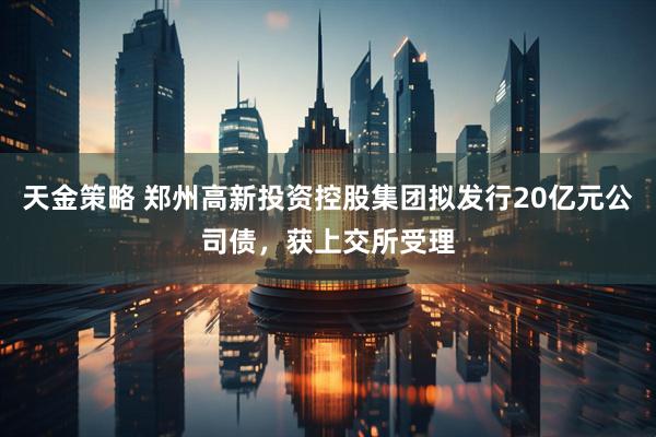 天金策略 郑州高新投资控股集团拟发行20亿元公司债，获上交所受理