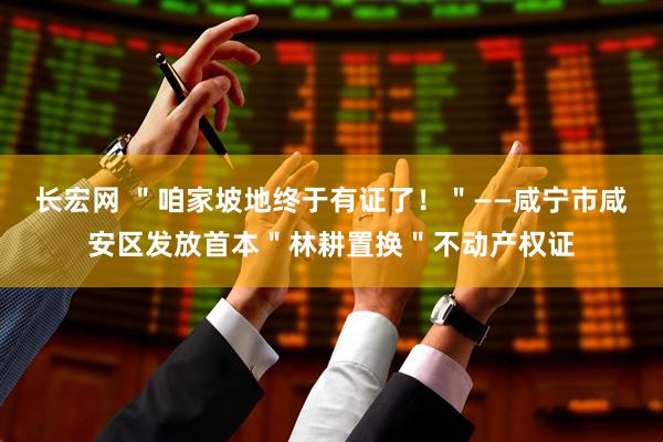 长宏网 ＂咱家坡地终于有证了！＂——咸宁市咸安区发放首本＂林耕置换＂不动产权证