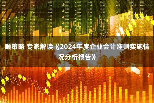 顺策略 专家解读《2024年度企业会计准则实施情况分析报告》